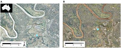 Medium-Term Increases in Ambient Grass Pollen Between 1994-1999 and 2016-2020 in a Subtropical Climate Zone